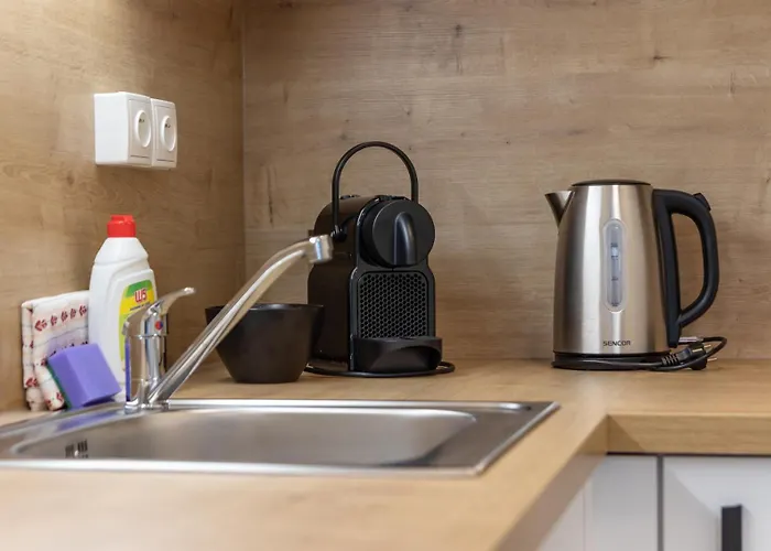 Smart With Ultra Fast 1gbps Wifi And Air Conditioning Daire Prag